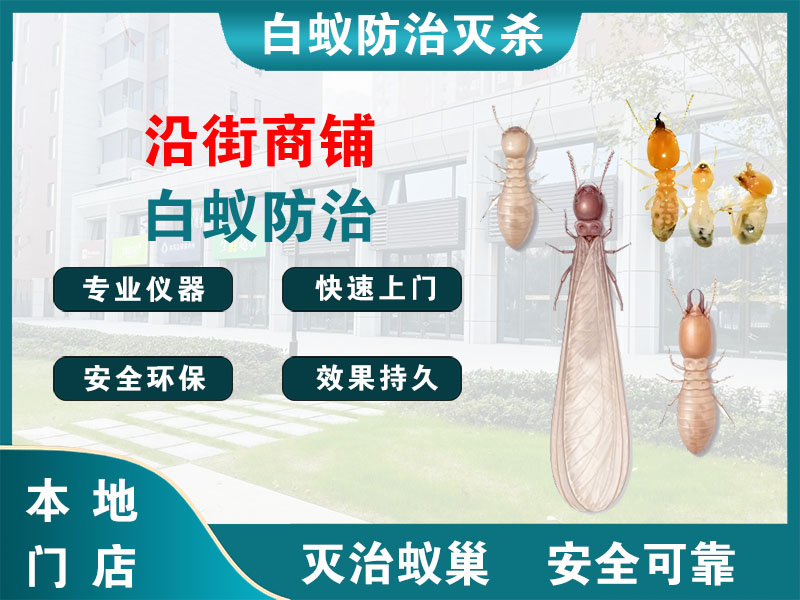 泉山沿街商铺白蚁防治