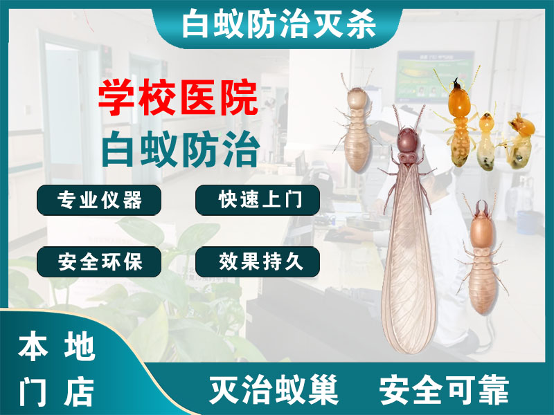 泉山学校医院白蚁防治