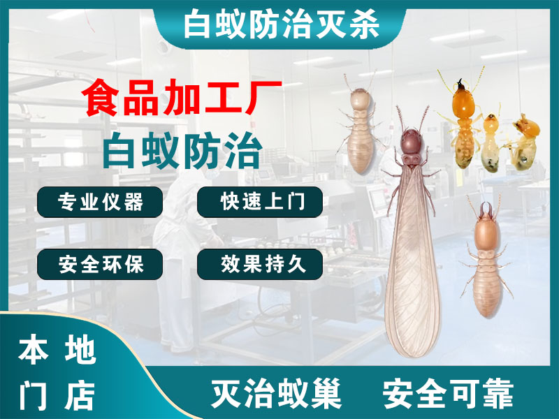 泉山食品加工厂白蚁防治