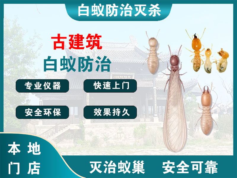 泉山古建筑白蚁防治