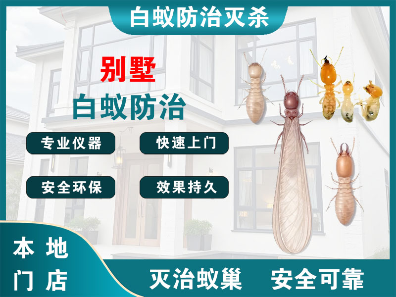 泉山别墅白蚁防治