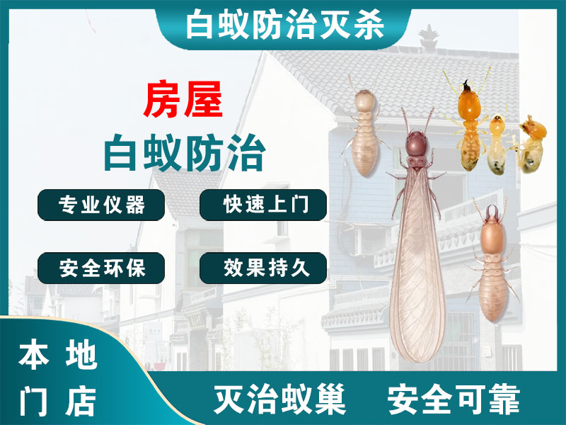 泉山房屋白蚁防治